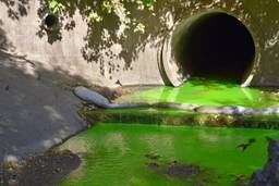 Emergency Spill Response green dye in waterway.
